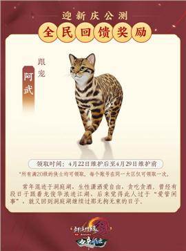 天龙八部私服 教程 网站